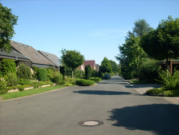 2008, Wibbelt