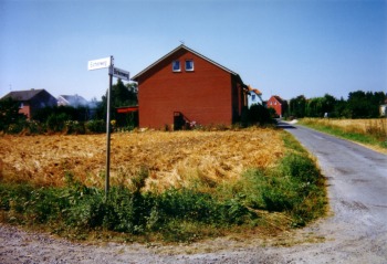 1991, Birken