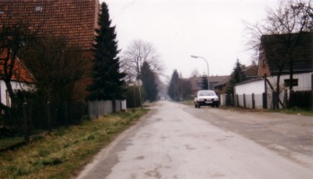 1989, Pappel