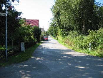 2005, Tauben