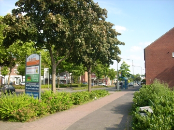 Grevener Landstraße, 2008