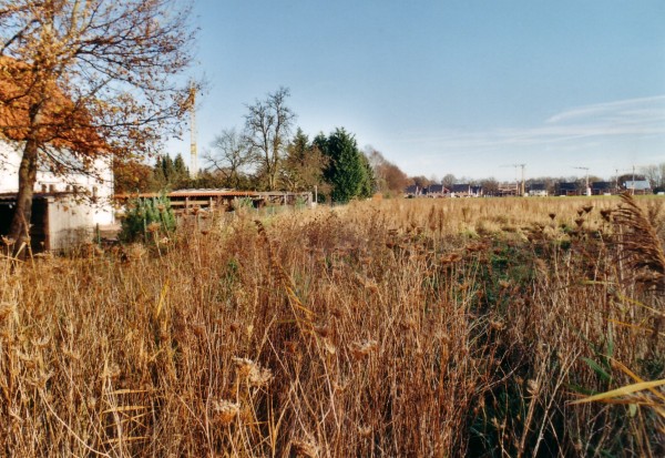 2000